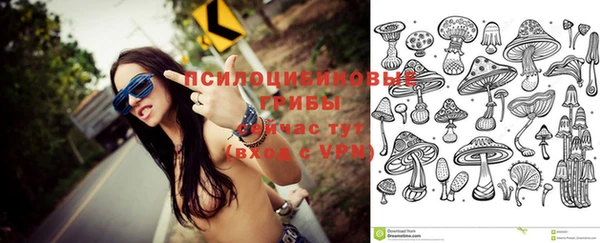 дурь Алексеевка